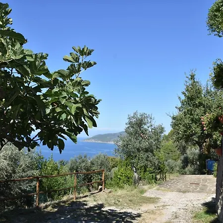 Cilento Panoramic & Cozy Hébergement de vacances Castellabate