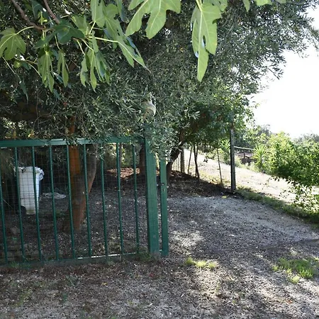 Hébergement de vacances Cilento Panoramic & Cozy