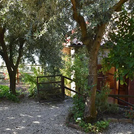 Cilento Panoramic & Cozy Hébergement de vacances