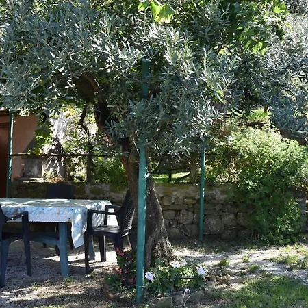 Cilento Panoramic & Cozy Castellabate