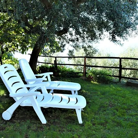 Cilento Panoramic & Cozy Hébergement de vacances